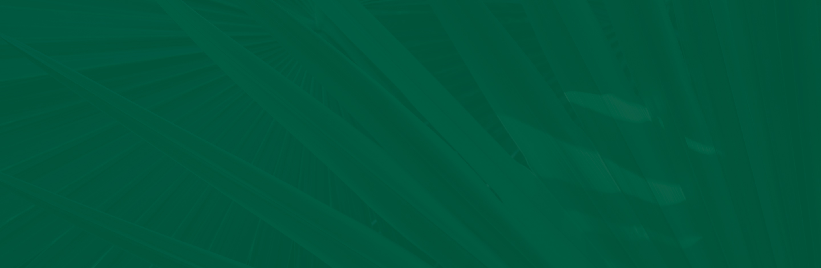 Hylee Capital abstract green background