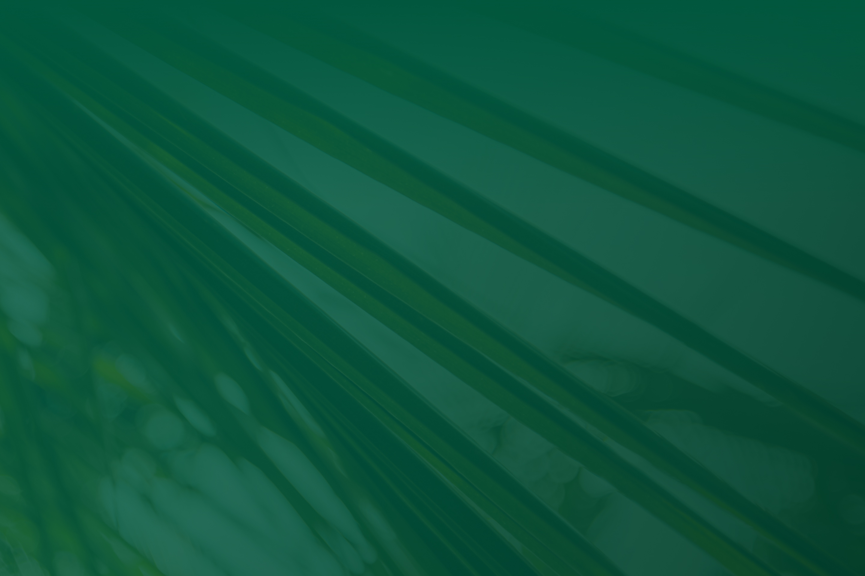Hylee Capital abstract green background